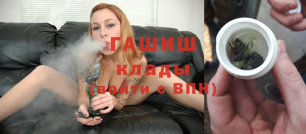 хмурый Ладушкин