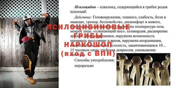 хмурый Ладушкин
