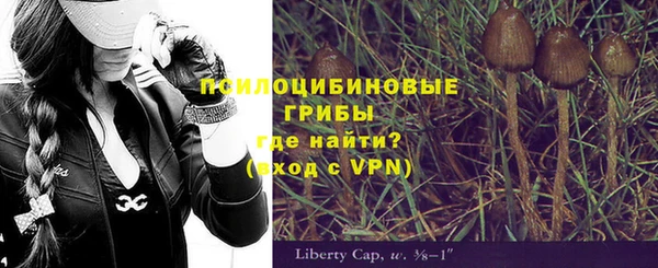 ешки Лагань