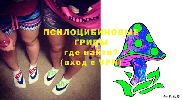 хмурый Ладушкин