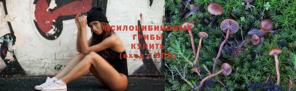 хмурый Ладушкин