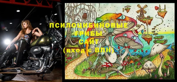 ешки Лагань