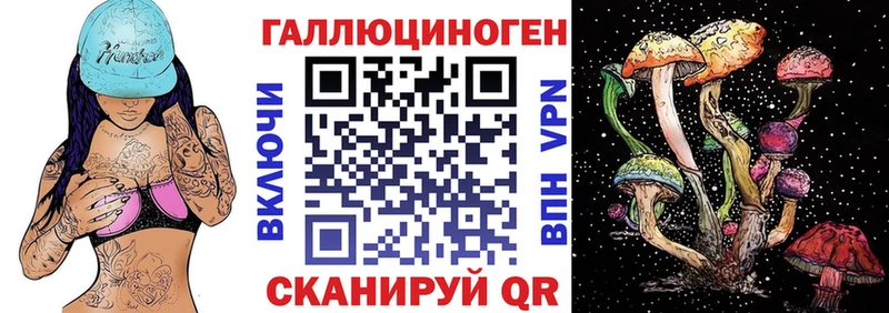 что такое   Мураши  Галлюциногенные грибы мицелий 